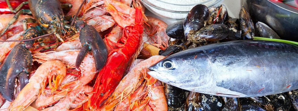 Equipos para Procesar Mariscos