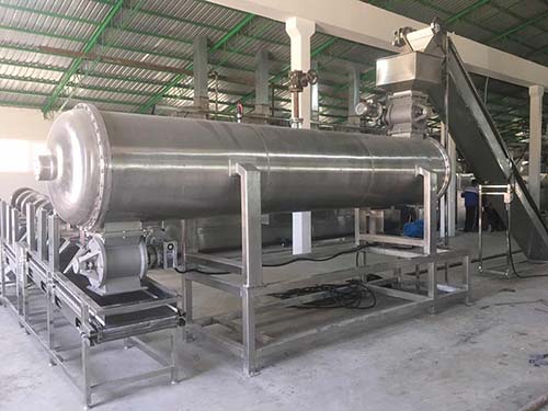 Esterilizador de vapor puro