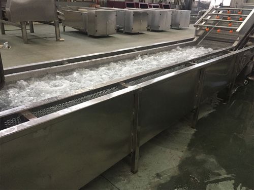 Lavadora de burbujas con cinta transportadora