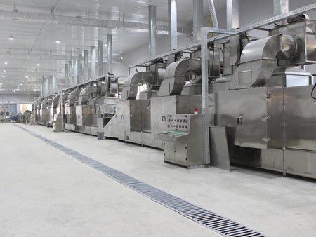 Línea de procesamiento de pimientos rojos y verdes en Uzbekistán