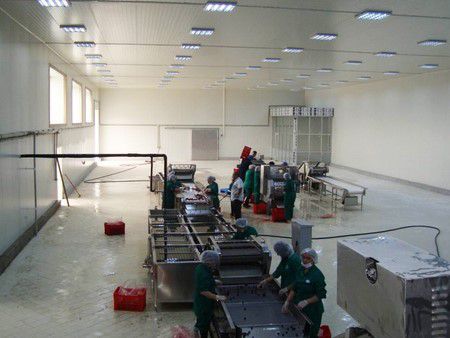 Congeladores IQF para fresas, arándanos y otras frutas en Azerbaiyán 