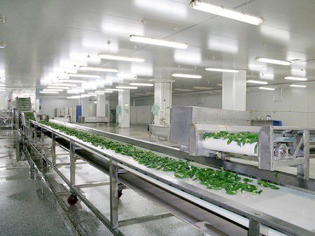 Línea de liofilización al vacío de okra en India