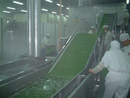 Línea de procesamiento y congelación en Shanghai Maling
