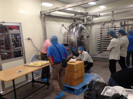 Línea de liofilización al vacío de durian en Malasia