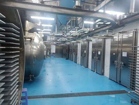 Línea de liofilización al vacío de sopa de vegetales para Fujian Dragon Enterprises