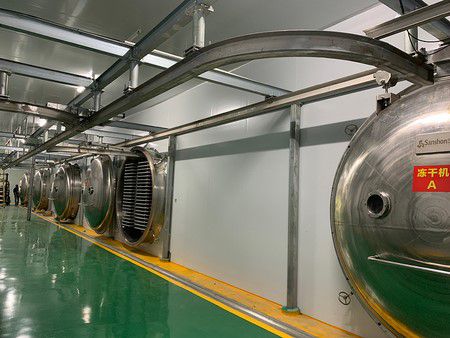 Línea de liofilización al vacío de tremela para Three flower (Fujian) Co., LTD.