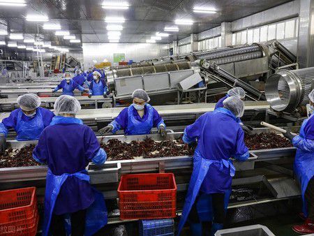 Línea de liofilización al vacío de cangrejos de rio en Hubei