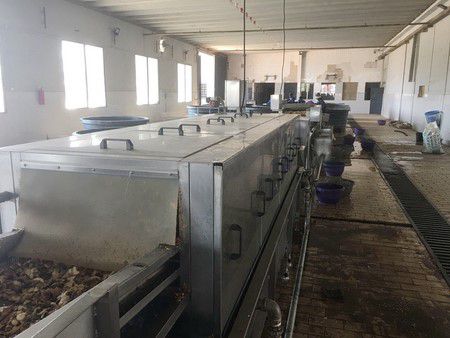 Equipo para limpiar jengibre en Nigeria