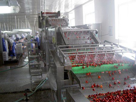 Equipos de Procesamiento de Frutas
