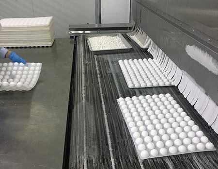 Equipos para Procesamiento de Pizza y Pasta
