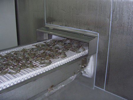 Equipos para Procesar Mariscos