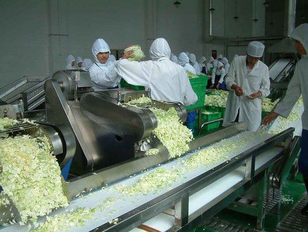 Equipos de Procesamiento de Vegetales