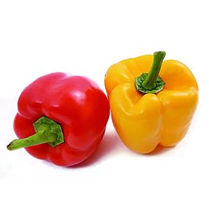 Productos a Procesar