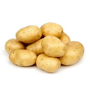 Productos a Procesar