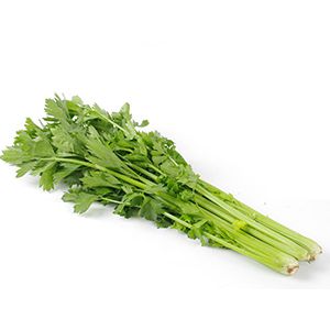 Productos a Procesar