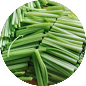 Productos a Procesar