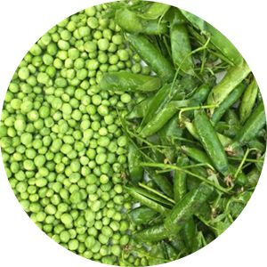 Productos a Procesar