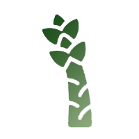 Deshidratación de Lechuga y Espárragos