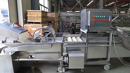 Lavadora de Burbujas Multifuncional para Frutas y Verduras QXJ-M