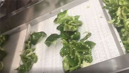Máquina para Descorazonar y Romper Pimientos TJP
