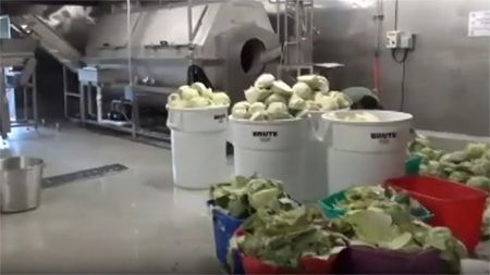 Enfriador con Agua Fría para Verduras SCJ