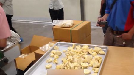 Liofilizador al Vacío Comercial SFD-II
