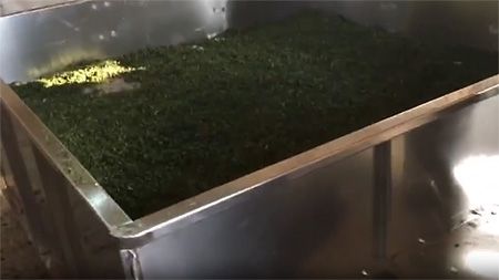 Secador de Verduras Tipo Caja Serie HGX