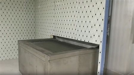 Congelador IQF Tipo Túnel Serie SSD