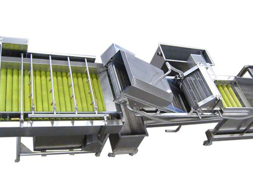 Lavadora de Rodillos de Cepillo para Frutas y Verduras MXJ-13