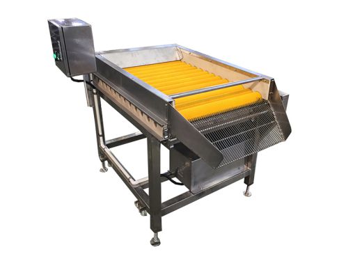 Lavadora de Rodillos de Cepillo para Frutas y Verduras MXJ-13