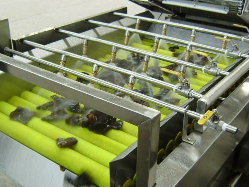 Lavadora de Rodillos de Cepillo para Frutas y Verduras MXJ-13