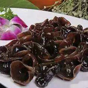 Hongos comestibles frescos