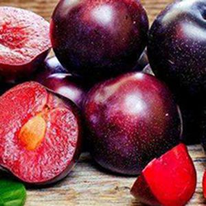 Ciruelas frescas