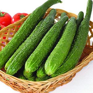 Pepino fresco