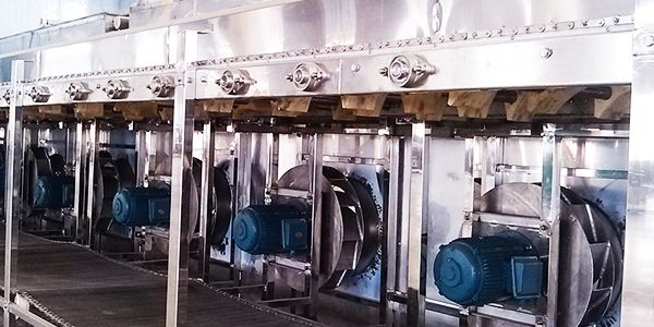Congelador IQF de Lecho Fluidizado