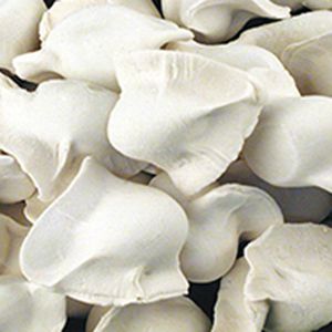 Dumpling/Bocadillos congelados